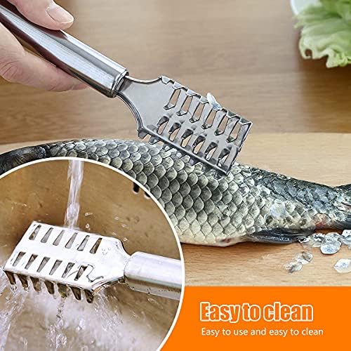 Maxxlite Stainless Steel Fish Scaler Remover