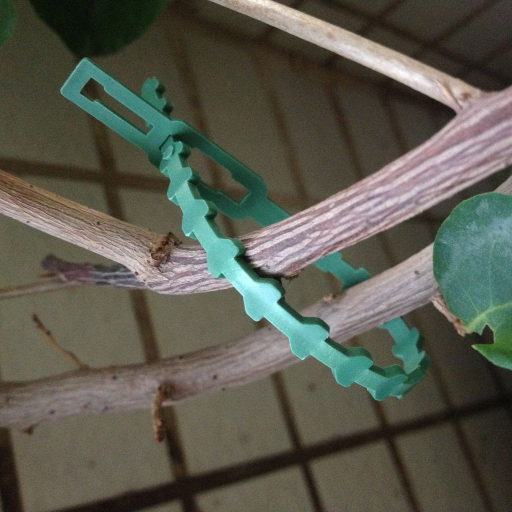 Maxxlite 30Pcs 16. 5Cm Plastic Cable Ties Gardening Clips Plant Ties Green