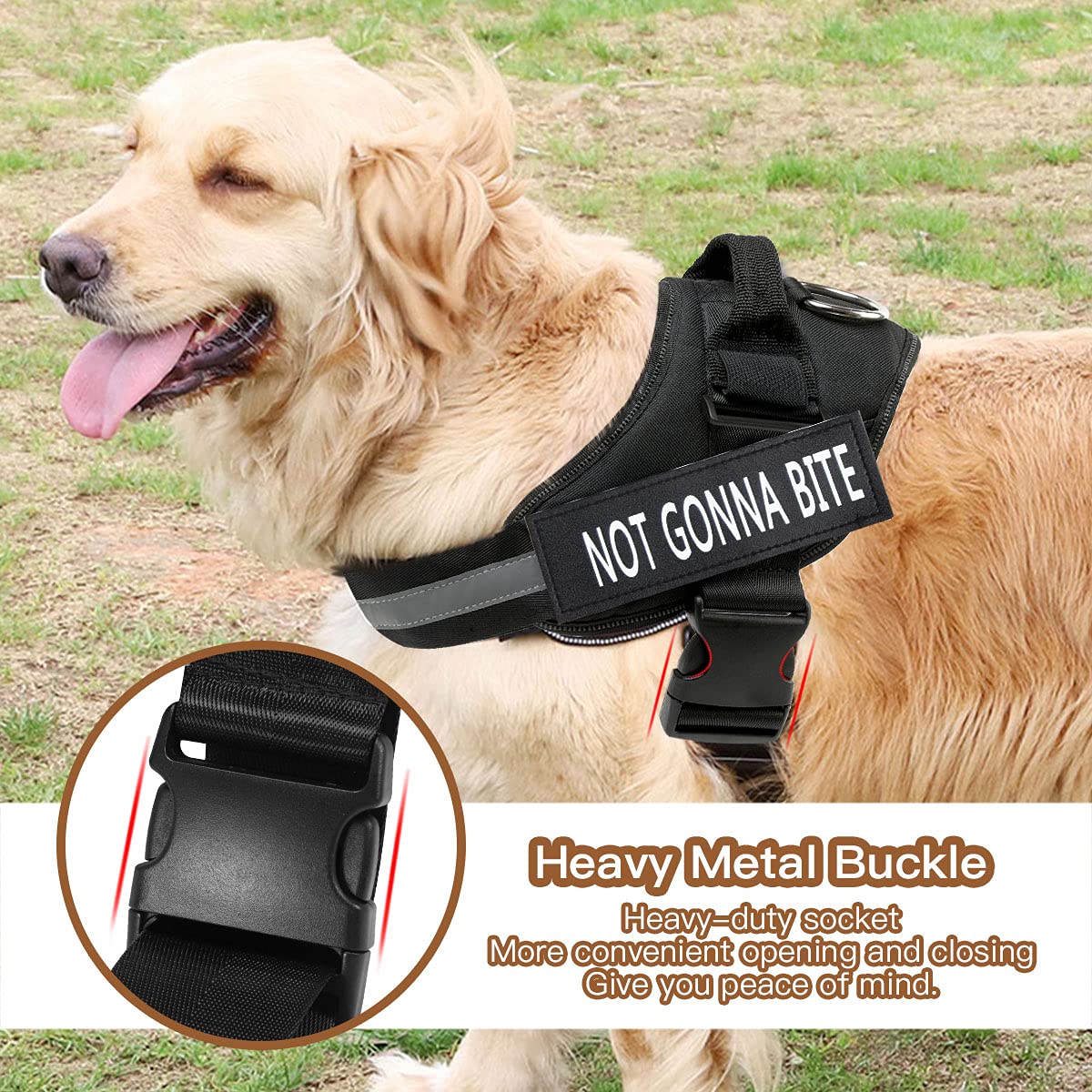 Maxxlite Dog Harness for Large Dogs,Adjustable Body Belt for Dogs,with Copybook Dog Vest (L, Black)