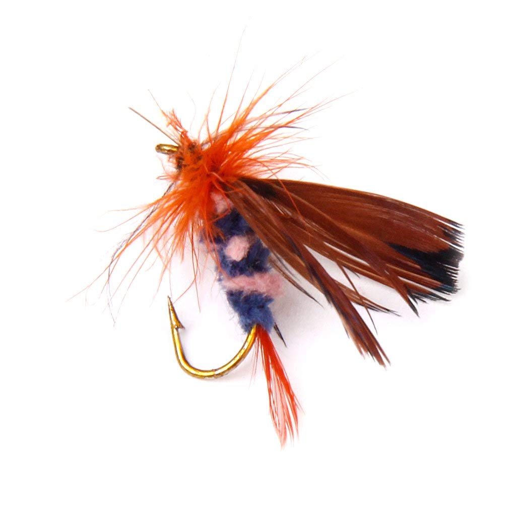 Maxxlite 12Pcs Butterfly Design Dry Fly Fishing Flies Fish Lure Hook Accessories