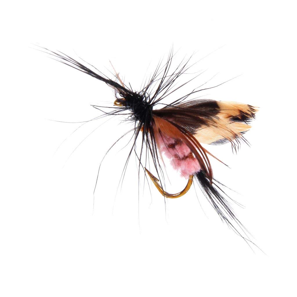 Maxxlite 12Pcs Butterfly Design Dry Fly Fishing Flies Fish Lure Hook Accessories
