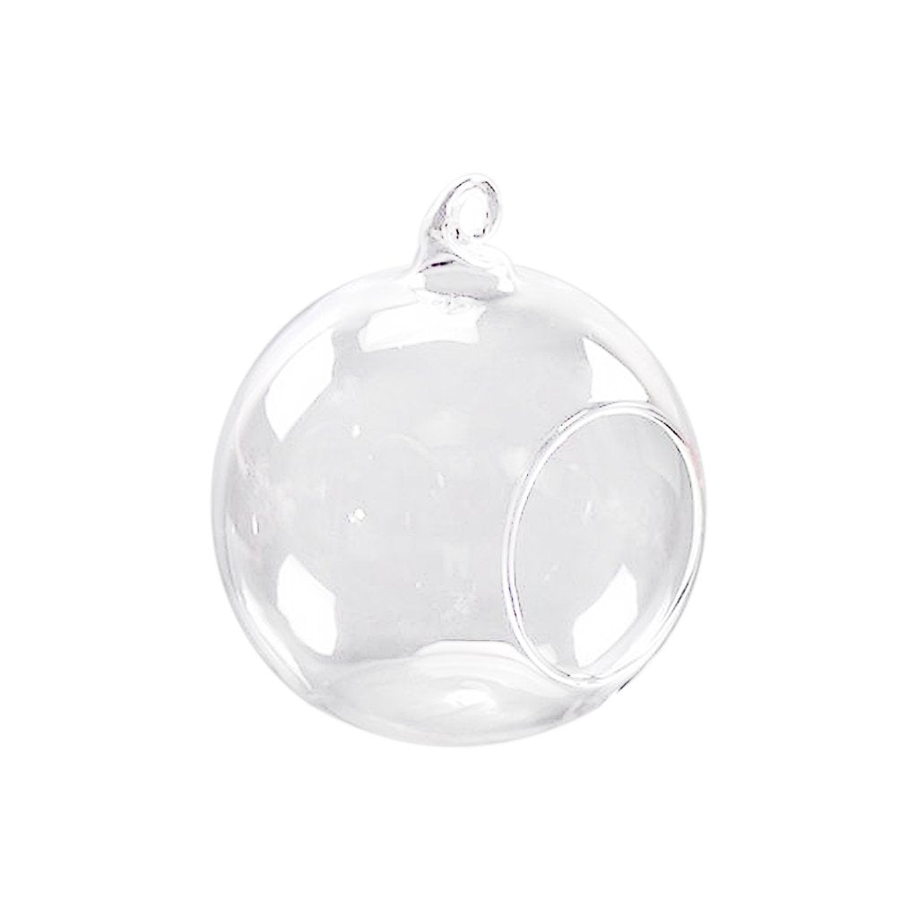 Maxxlite Glass Flower Vase (8 cm, Clear)