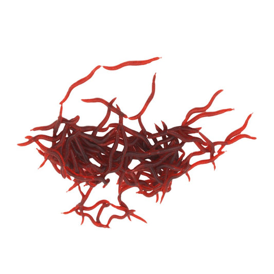 Maxxlite 100x Silicone Earthworm Fish Lure Worm Fishing Crankbaits Hooks Baits Tackle