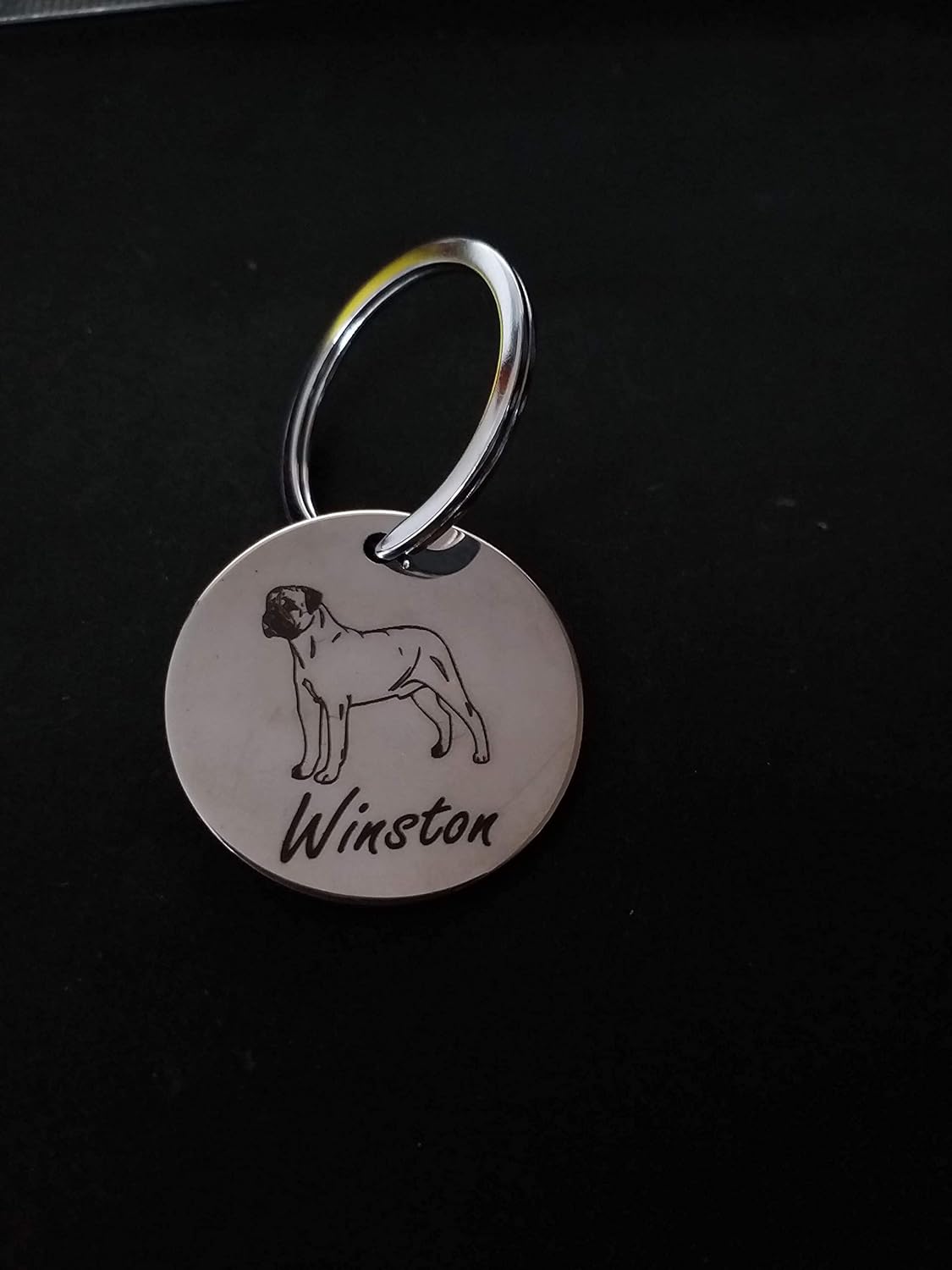Maxxlite Stainless Steel Engraved Tag for Pet Dog, Cat ID Customized Dog Tag