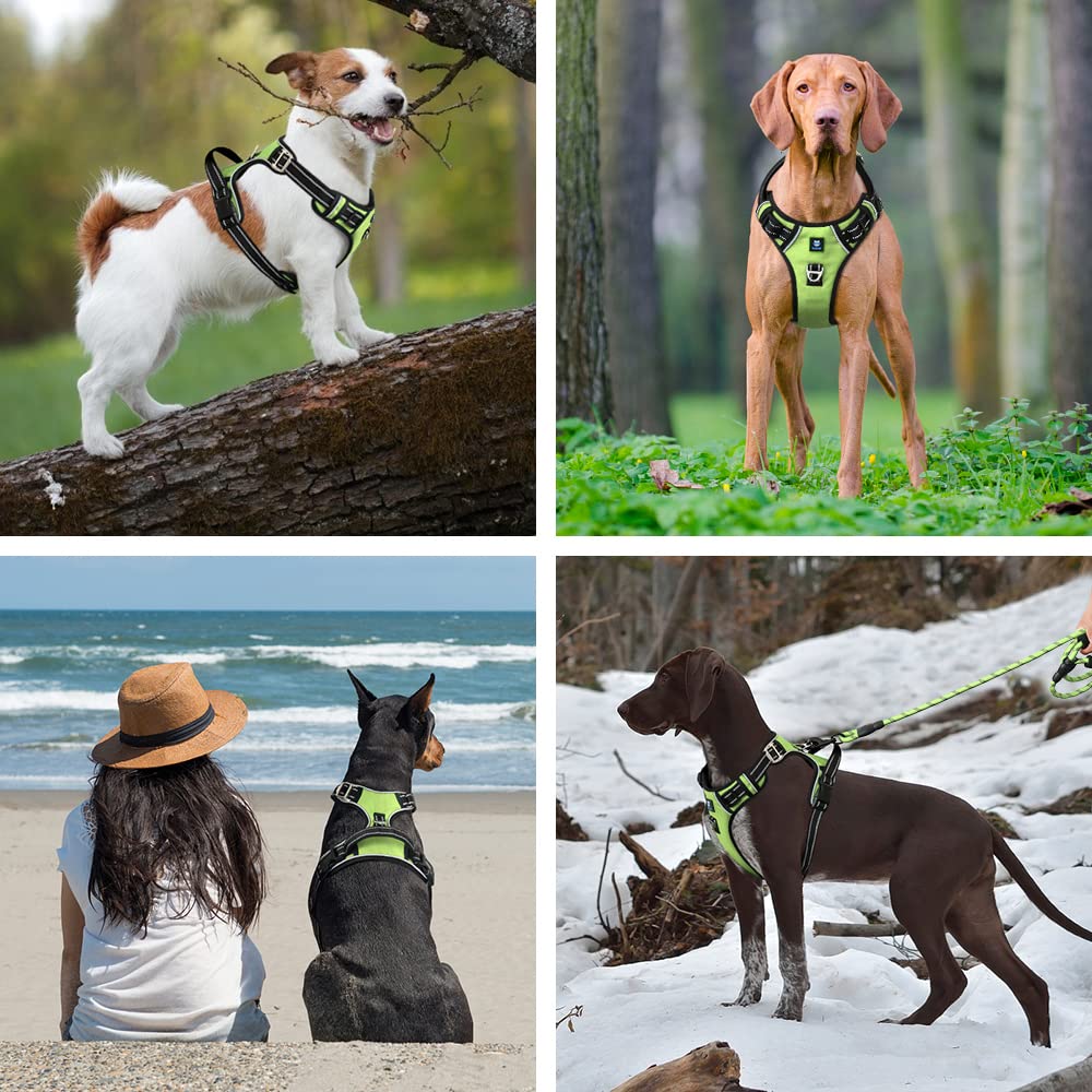 Maxxlite Pet Belt for Dog - 3M Night Reflective Dog Harness - 4 Adjustable Buckles - Chest (Min 17 - Max 22" inches) (Small, Neon Green)